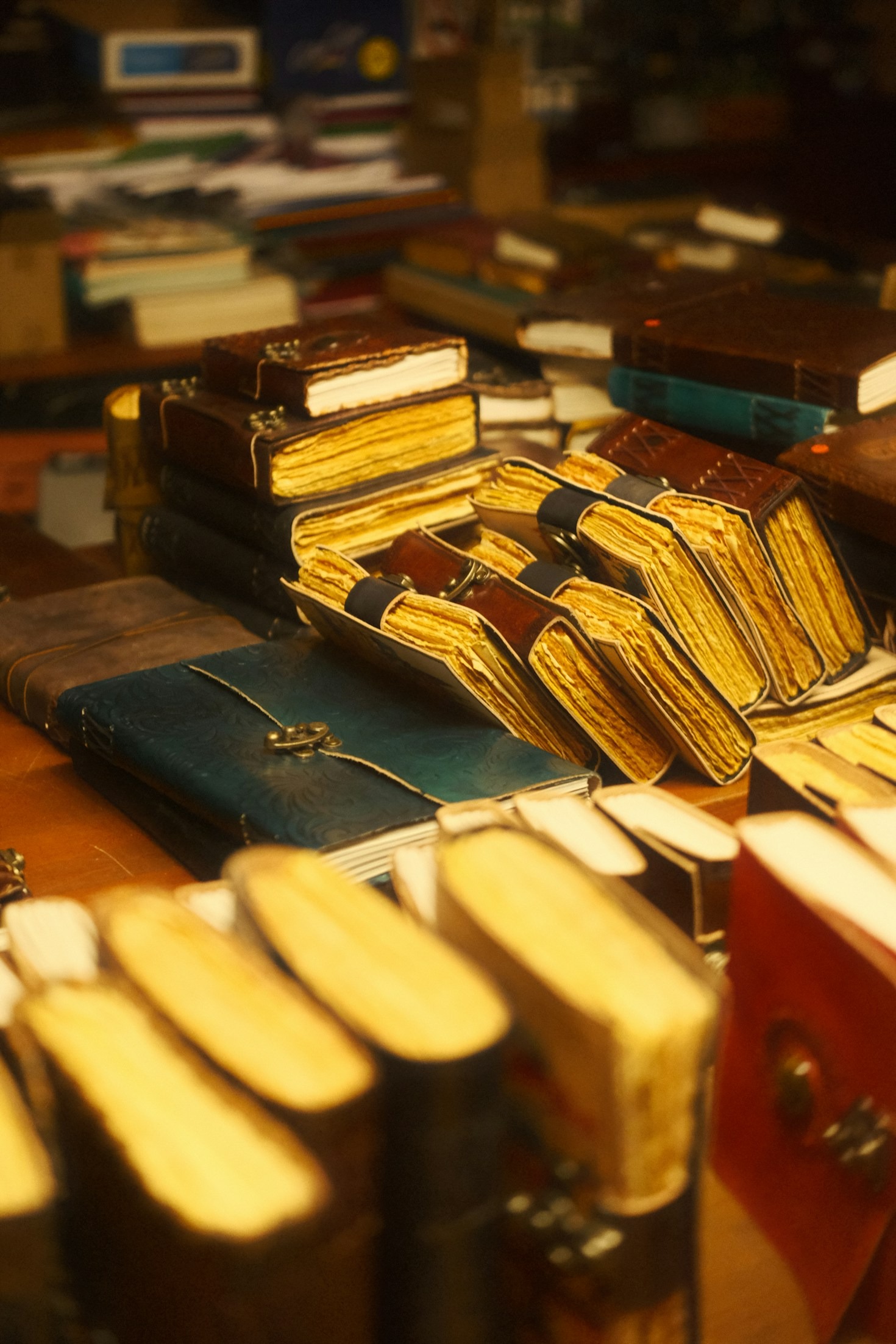 Pet Care Tips Inspired by Raven’s Compassion